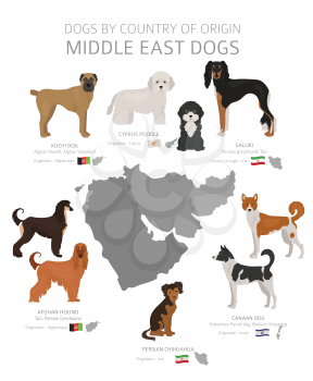 Dogs by country of origin. Middle East dog breeds. Shepherds, hunting, herding, toy, working and service dogs  set.  Vector illustration