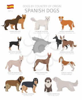 Dogs by country of origin. Spanish dog breeds. Shepherds, hunting, herding, toy, working and service dogs  set.  Vector illustration
