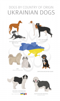 Dogs by country of origin. Ukrainian dog breeds. Shepherds, hunting, herding, toy, working and service dogs  set.  Vector illustration