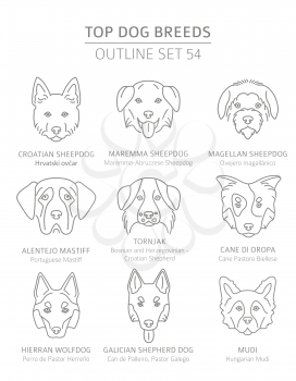 Top dog breeds. Hunting, shepherd and companion dogs set. Pet outline collection. Vector illustration