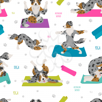 Yoga dogs poses and exercises. Australian shepherd seamless pattern. Vector illustration
