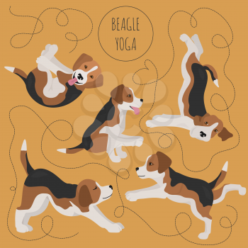 Yoga dogs poses and exercises. Beagle clipart. Vector illustration