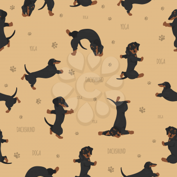 Yoga dogs poses and exercises. Dachshund seamless pattern. Vector illustration