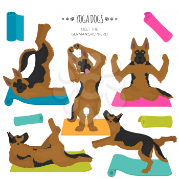 Yoga dogs poses and exercises. German shepherd clipart. Vector illustration