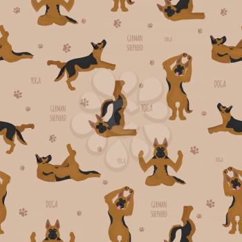 Yoga dogs poses and exercises. German shepherd seamless pattern. Vector illustration