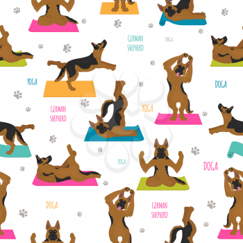 Yoga dogs poses and exercises. German shepherd seamless pattern. Vector illustration