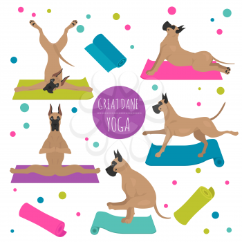 Yoga dogs poses and exercises. Great dane clipart. Vector illustration