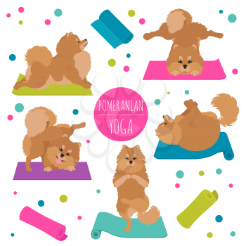 Yoga dogs poses and exercises. Pomeranian clipart. Vector illustration