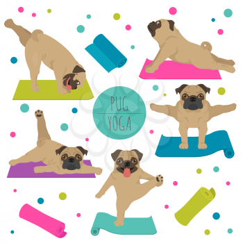 Yoga dogs poses and exercises. Pug clipart. Vector illustration