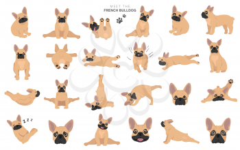 French bulldog clipart. Dog healthy silhouette and yoga poses set.  Vector illustration