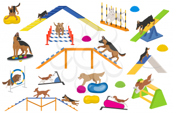 Dog playground equipment set. Colour flat playing dogs design. Vector illustration