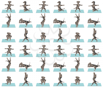 Yoga dogs poses and exercises poster design. Catahoula leopard dog  seamless pattern. Vector illustration