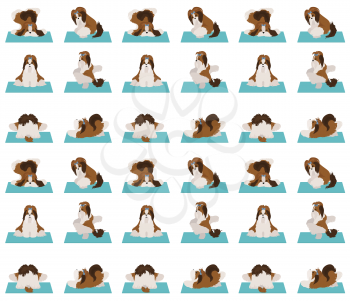 Yoga dogs poses and exercises poster design. Shih tzu seamless pattern. Vector illustration