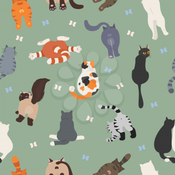 Cats poses behind. Cat`s butts. Flat design seamless pattern. Vector illustration