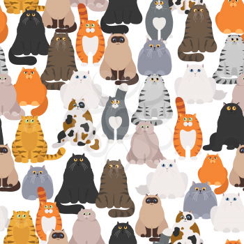Cat poster. Cartoon cat characters seamless pattern. Different cat`s poses and emotions set. Flat color simple style design. Vector illustration
