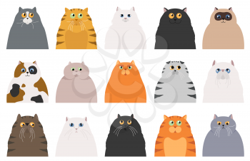Cat poster. Cartoon cat characters collection. Different cat`s poses and emotions set. Flat color simple style design. Vector illustration