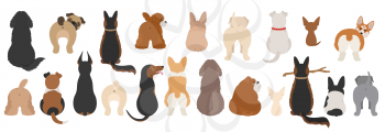 Dogs poses behind. Dog`s butts. Flat design clipart. Vector illustration