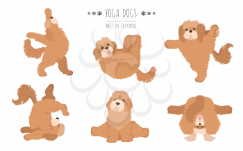 Yoga dogs poses and exercises poster design. Cockapoo clipart. Vector illustration