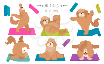Yoga dogs poses and exercises poster design. Cockapoo clipart. Vector illustration