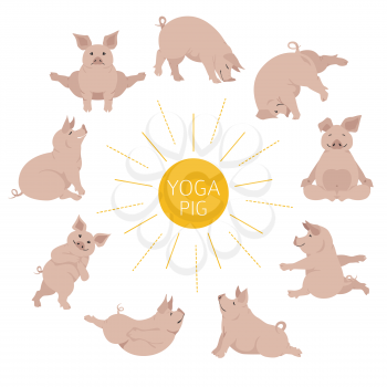 Pig yoga poses and exercises. Cute cartoon clipart set. Vector illustration