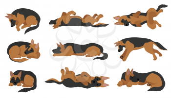 Sleeping dogs poses. German shepherd dogs. Vector illustration