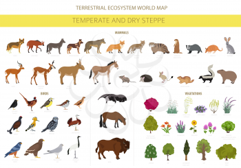Temperate and dry steppe biome, natural region infographic. Prarie, steppe, grassland, pampas. Terrestrial ecosystem world map. Animals, birds and vegetations ecosystem design set. Vector illustration