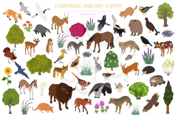 Temperate and dry steppe biome, natural region isometric infographic. Prarie, steppe, grassland, pampas. Terrestrial ecosystem world map. Animals, birds and vegetations ecosystem design set. Vector illustration