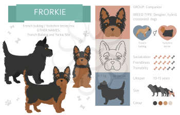 Designer dogs, crossbreed, hybrid mix pooches collection isolated on white. Frorkie flat style clipart infographic. Vector illustration
