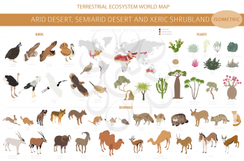 Desert biome, xeric shrubland biome, natural region infographic. Terrestrial ecosystem world map. Animals, birds and vegetations isometric design set. Vector illustration