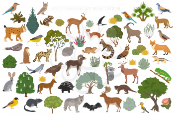 Mediterranean vegetation biome, natural region infographic. Terrestrial ecosystem world map. Animals, birds and vegetations design set. Vector illustration