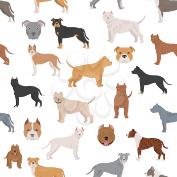 Pit bull type dogs. Seamless pattern. Different variaties of coat color bully dogs set.  Vector illustration