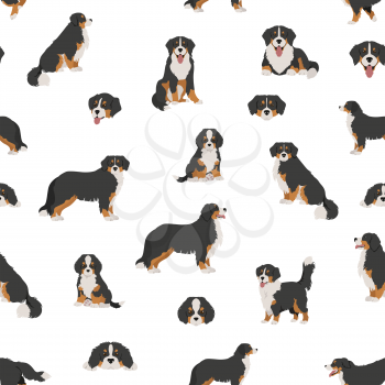 Bernese mountain dog seamless, pattern. Different poses, Bernese sennenhund puppy.  Vector illustration