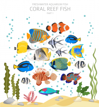 Coral reef fish. Freshwater aquarium fish icon set flat style isolated on white.  Vector illustration
