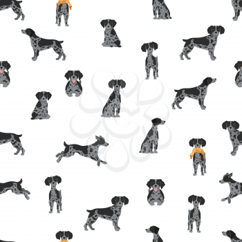 Brittany spaneil seamless pattern. Different poses set. Adult and puppy dogs infographic. Vector illustration