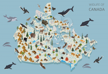 Isometric 3d design of Canada wildlife. Animals, birds and plants constructor elements isolated on white set. Build your own geography infographics collection. Vector illustration
