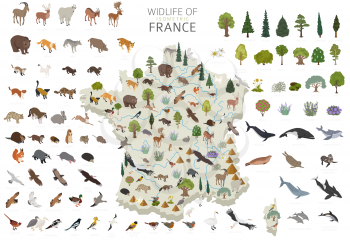 Isometric 3d design of France wildlife. Animals, birds and plants constructor elements isolated on white set. Build your own geography infographics collection. Vector illustration