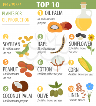 Top 10 plants for vegetable oil production infographic design. Vector illustration