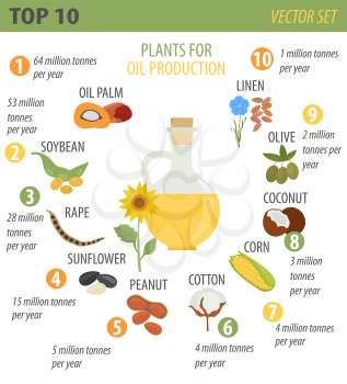 Top 10 plants for vegetable oil production infographic design. Vector illustration