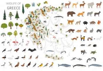 Flat design of Greece wildlife. Animals, birds and plants constructor elements isolated on white set. Build your own geography infographics collection. Vector illustration