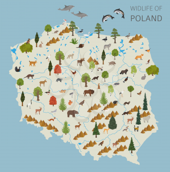 Flat design of Poland wildlife. Animals, birds and plants constructor elements isolated on white set. Build your own geography infographics collection. Vector illustration