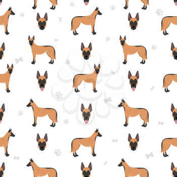 Belgian shepherd malinois seamless pattern. Different poses, coat colors set.  Vector illustration