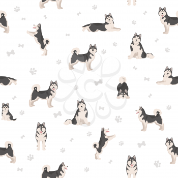 Alaskan malamute all colours seamless pattern. Different coat colors and poses set.  Vector illustration