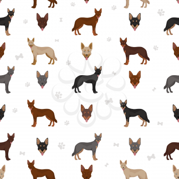 Australian kelpie all colours clipart. Different coat colors and poses seamless pattern.  Vector illustration