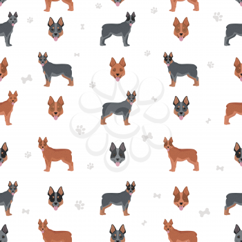Australian stumpy tail cattle dog all colours seamless pattern. Different coat colors and poses set.  Vector illustration