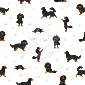 Cavalier King Charles spaniel seamless pattern.  Different poses, coat colors set.  Vector illustration