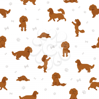 Cavalier King Charles spaniel seamless pattern. Different poses, coat colors set.  Vector illustration