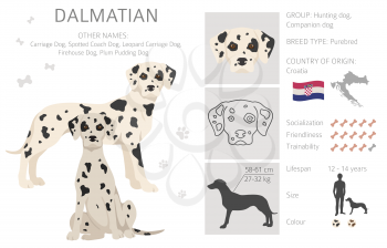Dalmatian dogs clipart. Different poses, coat colors set.  Vector illustration