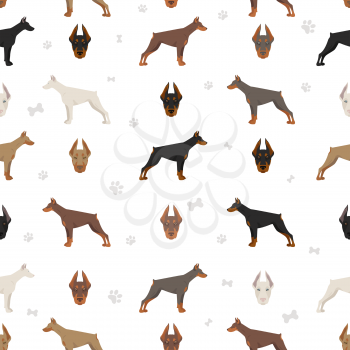 Doberman pinscher dogs seamless pattern. Different poses, coat colors set.  Vector illustration