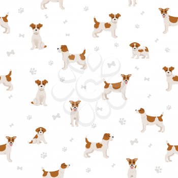 Jack Russel terrier in different poses and coat colors seamless pattern. Adult dogs and puppy set.  Vector illustration