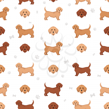 Fawn brittany basset seamless pattern. Different coat colors and poses set.  Vector illustration